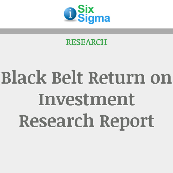 Black Belt Return on Investment Research Report
