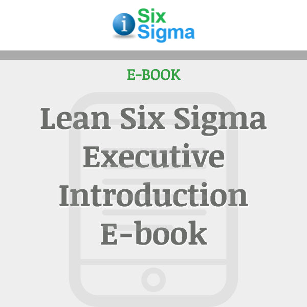 Lean Six Sigma Executive Introduction E-book