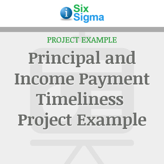 Principal and Income Payment Timeliness Project Example